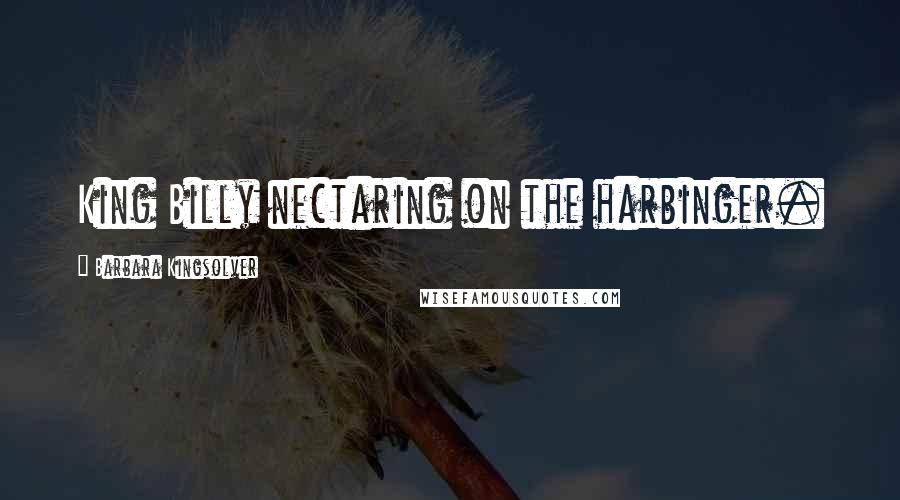 Barbara Kingsolver Quotes: King Billy nectaring on the harbinger.
