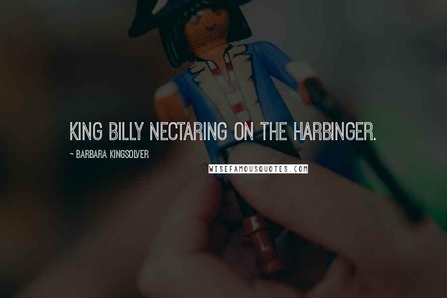 Barbara Kingsolver Quotes: King Billy nectaring on the harbinger.