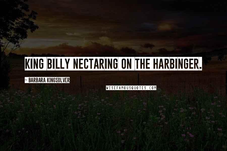 Barbara Kingsolver Quotes: King Billy nectaring on the harbinger.