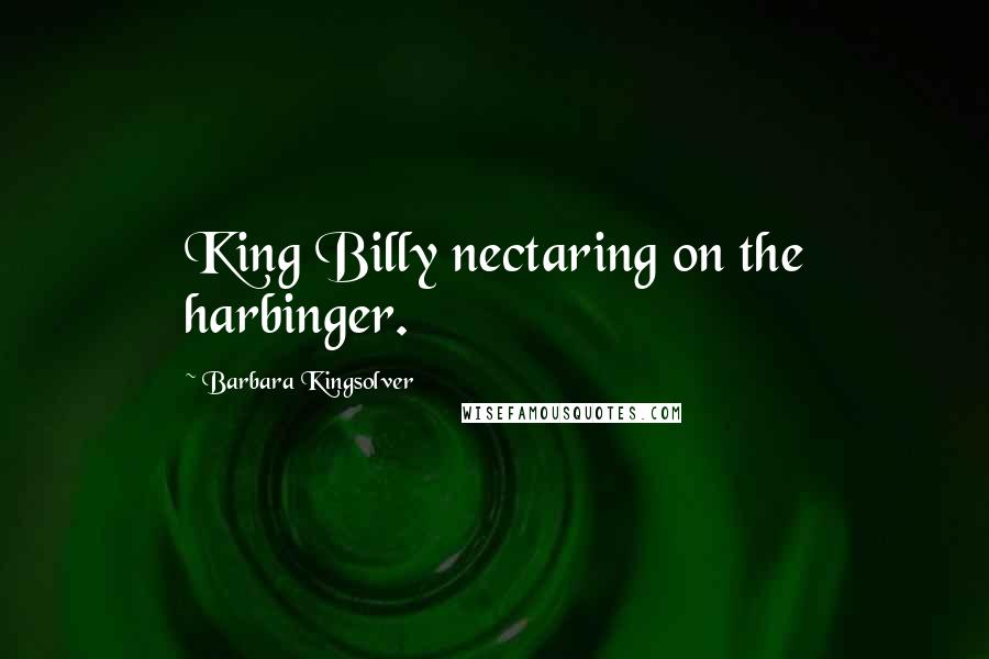 Barbara Kingsolver Quotes: King Billy nectaring on the harbinger.