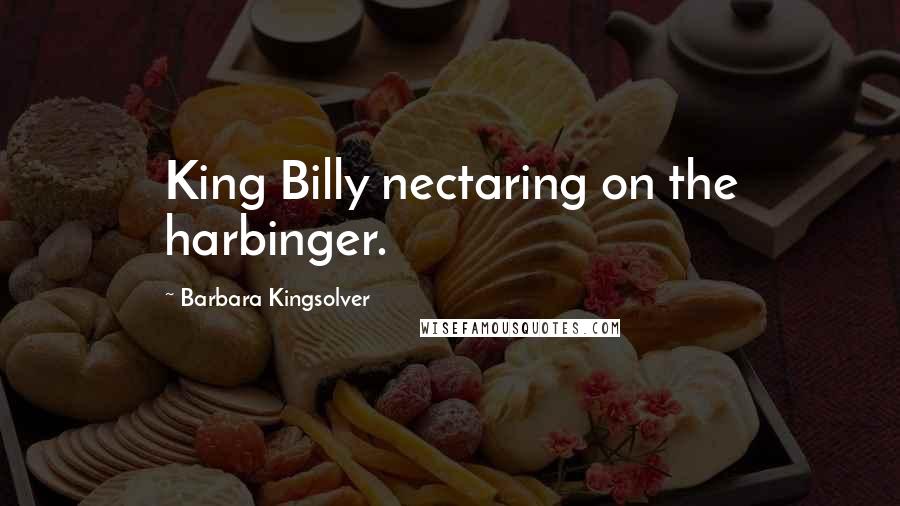 Barbara Kingsolver Quotes: King Billy nectaring on the harbinger.