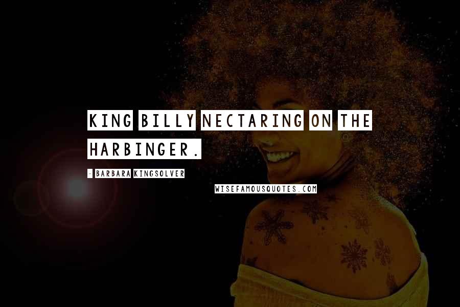 Barbara Kingsolver Quotes: King Billy nectaring on the harbinger.