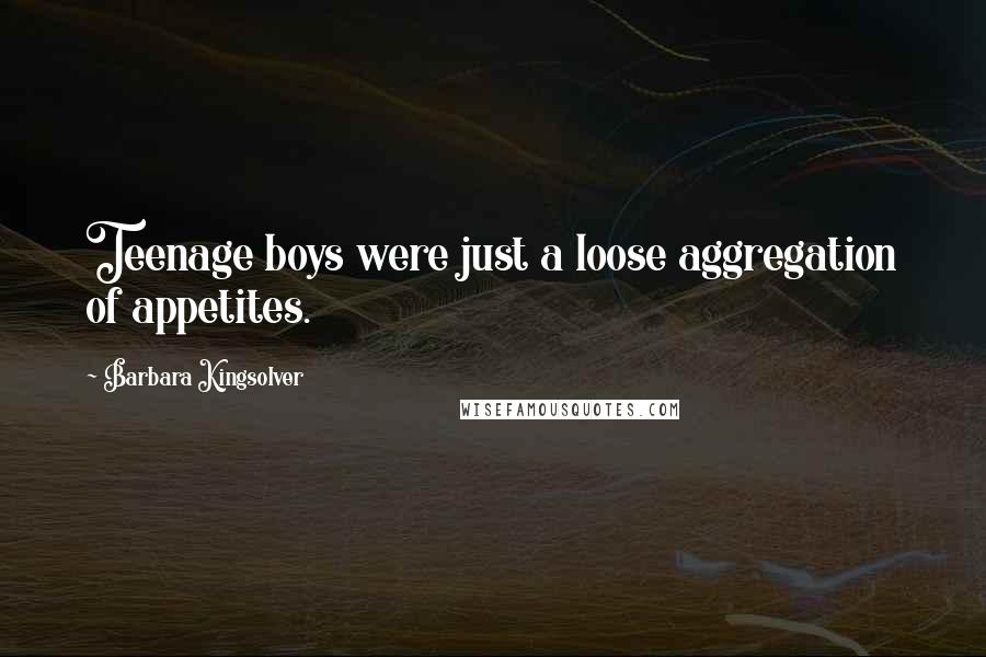 Barbara Kingsolver Quotes: Teenage boys were just a loose aggregation of appetites.