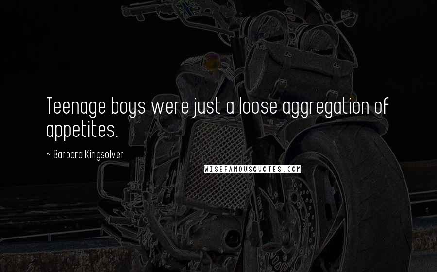 Barbara Kingsolver Quotes: Teenage boys were just a loose aggregation of appetites.