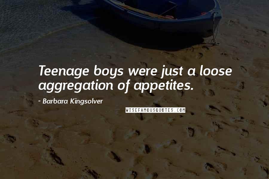 Barbara Kingsolver Quotes: Teenage boys were just a loose aggregation of appetites.