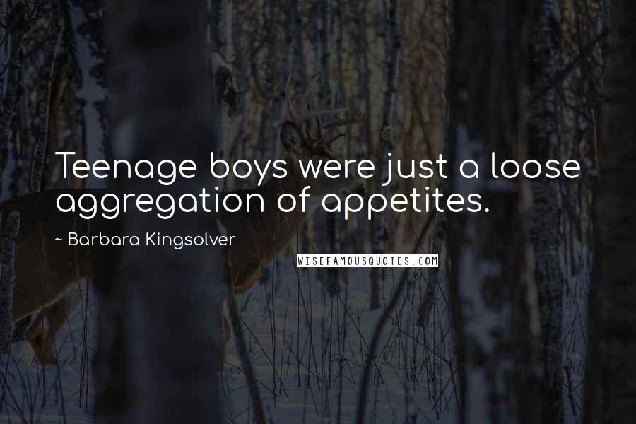 Barbara Kingsolver Quotes: Teenage boys were just a loose aggregation of appetites.