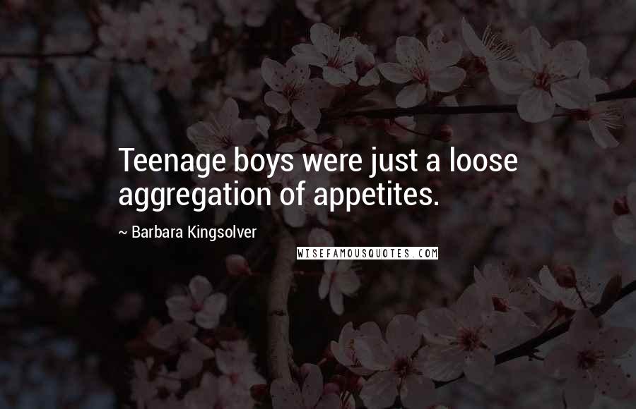 Barbara Kingsolver Quotes: Teenage boys were just a loose aggregation of appetites.