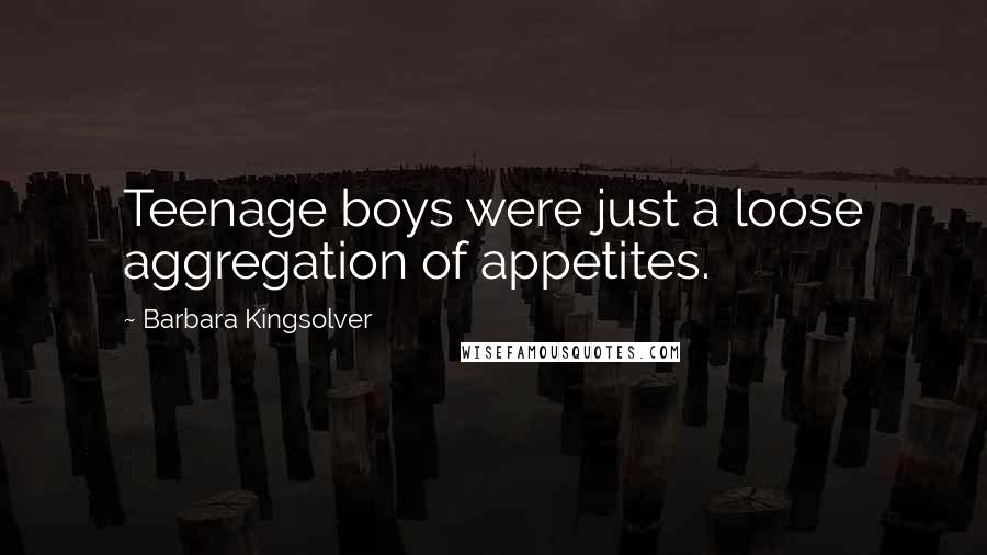 Barbara Kingsolver Quotes: Teenage boys were just a loose aggregation of appetites.