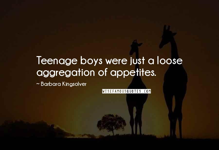 Barbara Kingsolver Quotes: Teenage boys were just a loose aggregation of appetites.