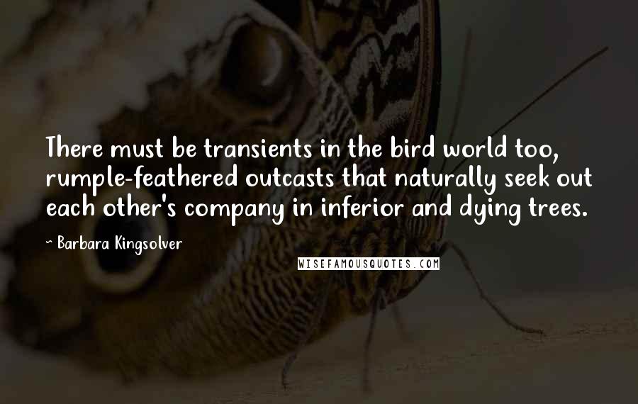 Barbara Kingsolver Quotes: There must be transients in the bird world too, rumple-feathered outcasts that naturally seek out each other's company in inferior and dying trees.