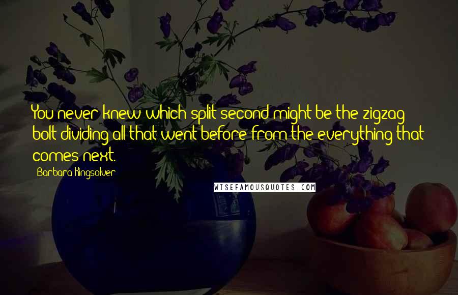 Barbara Kingsolver Quotes: You never knew which split second might be the zigzag bolt dividing all that went before from the everything that comes next.