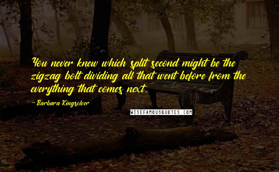 Barbara Kingsolver Quotes: You never knew which split second might be the zigzag bolt dividing all that went before from the everything that comes next.
