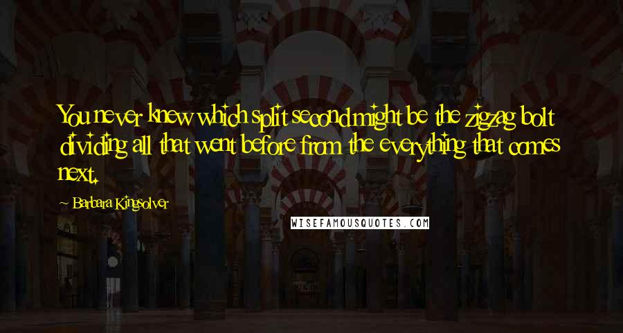 Barbara Kingsolver Quotes: You never knew which split second might be the zigzag bolt dividing all that went before from the everything that comes next.
