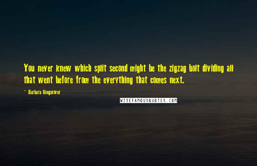Barbara Kingsolver Quotes: You never knew which split second might be the zigzag bolt dividing all that went before from the everything that comes next.