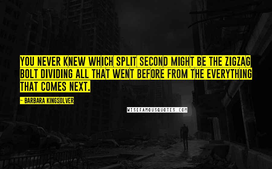 Barbara Kingsolver Quotes: You never knew which split second might be the zigzag bolt dividing all that went before from the everything that comes next.