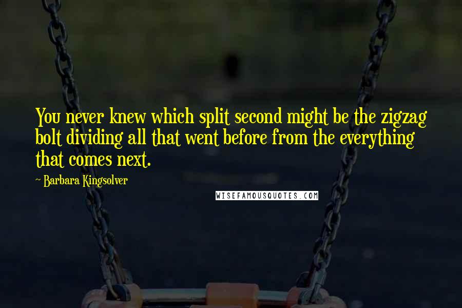Barbara Kingsolver Quotes: You never knew which split second might be the zigzag bolt dividing all that went before from the everything that comes next.