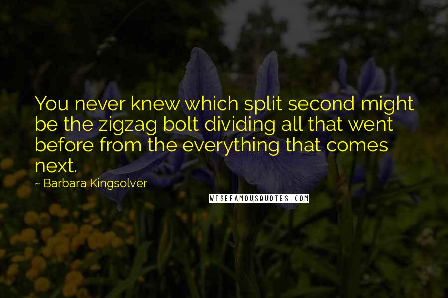 Barbara Kingsolver Quotes: You never knew which split second might be the zigzag bolt dividing all that went before from the everything that comes next.