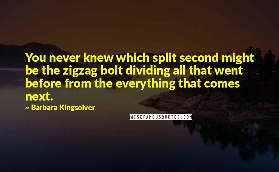 Barbara Kingsolver Quotes: You never knew which split second might be the zigzag bolt dividing all that went before from the everything that comes next.