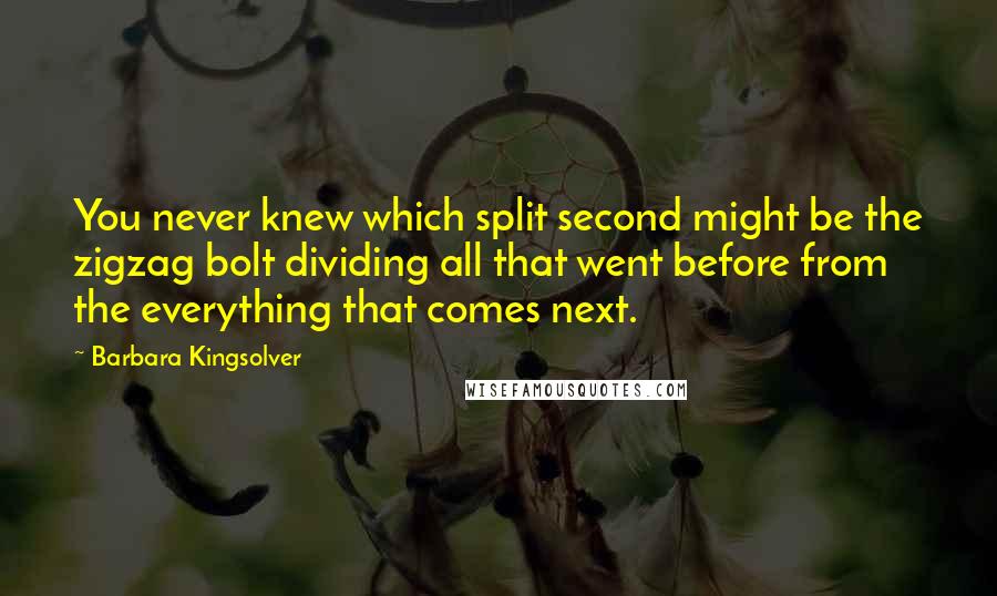 Barbara Kingsolver Quotes: You never knew which split second might be the zigzag bolt dividing all that went before from the everything that comes next.
