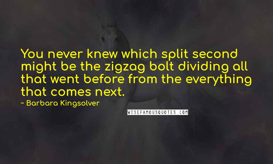 Barbara Kingsolver Quotes: You never knew which split second might be the zigzag bolt dividing all that went before from the everything that comes next.