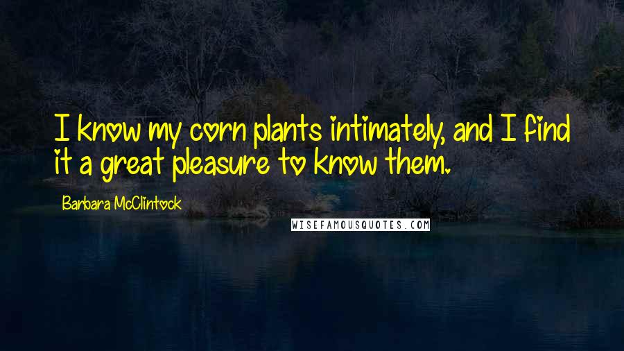Barbara McClintock Quotes: I know my corn plants intimately, and I find it a great pleasure to know them.