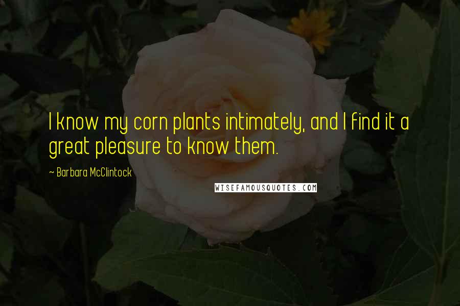 Barbara McClintock Quotes: I know my corn plants intimately, and I find it a great pleasure to know them.