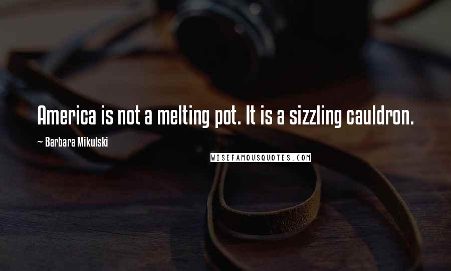 Barbara Mikulski Quotes: America is not a melting pot. It is a sizzling cauldron.