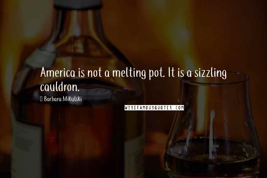 Barbara Mikulski Quotes: America is not a melting pot. It is a sizzling cauldron.