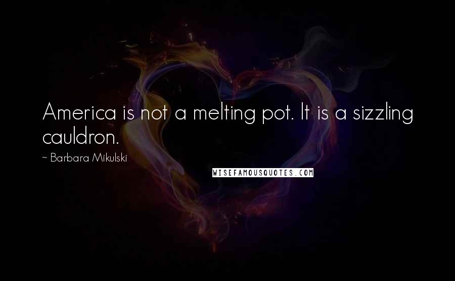 Barbara Mikulski Quotes: America is not a melting pot. It is a sizzling cauldron.