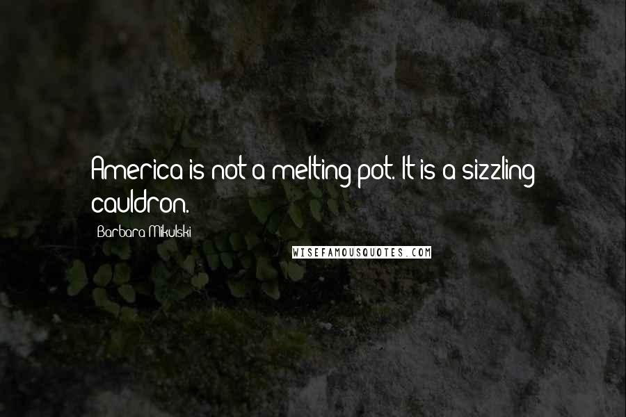 Barbara Mikulski Quotes: America is not a melting pot. It is a sizzling cauldron.