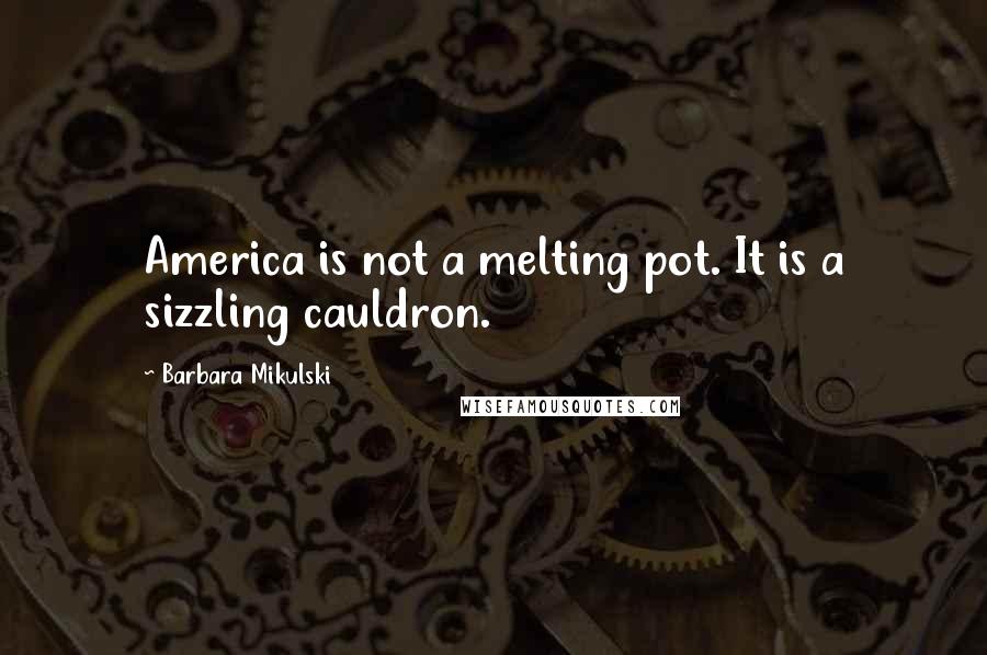 Barbara Mikulski Quotes: America is not a melting pot. It is a sizzling cauldron.