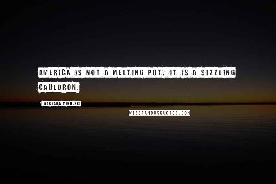 Barbara Mikulski Quotes: America is not a melting pot. It is a sizzling cauldron.