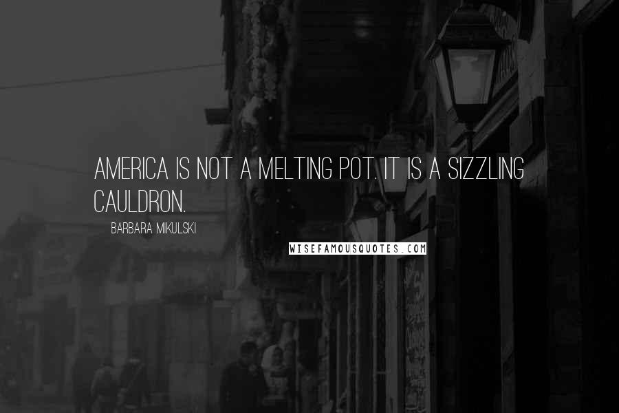 Barbara Mikulski Quotes: America is not a melting pot. It is a sizzling cauldron.