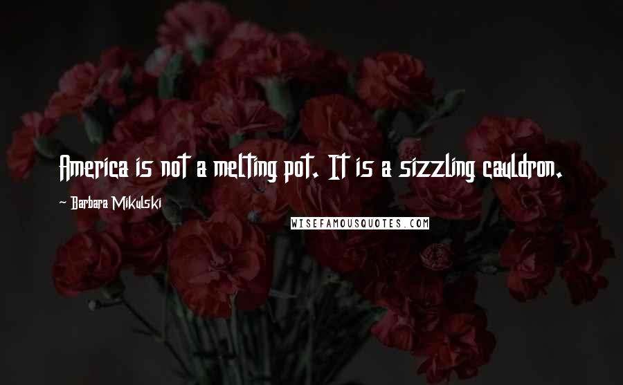 Barbara Mikulski Quotes: America is not a melting pot. It is a sizzling cauldron.