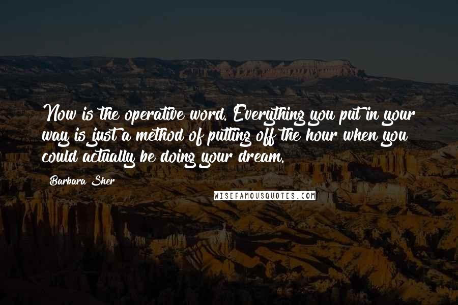 Barbara Sher Quotes: Now is the operative word. Everything you put in your way is just a method of putting off the hour when you could actually be doing your dream.