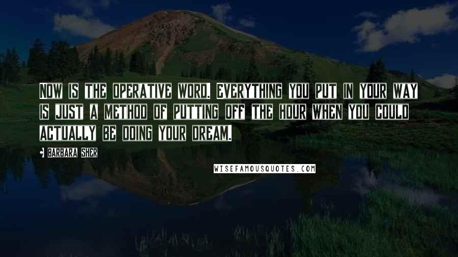 Barbara Sher Quotes: Now is the operative word. Everything you put in your way is just a method of putting off the hour when you could actually be doing your dream.