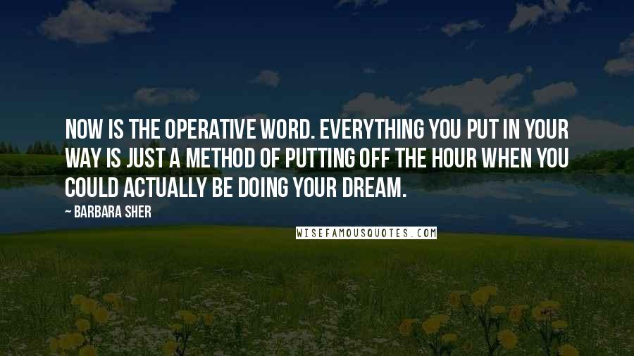 Barbara Sher Quotes: Now is the operative word. Everything you put in your way is just a method of putting off the hour when you could actually be doing your dream.