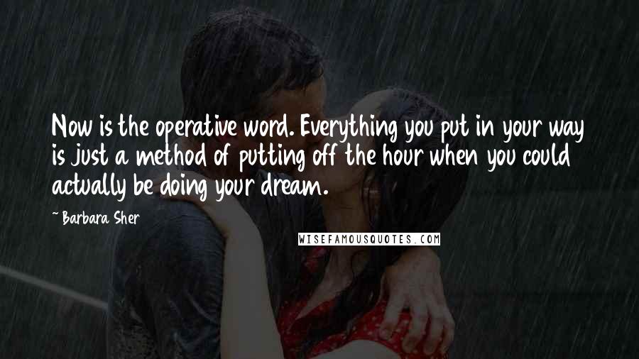 Barbara Sher Quotes: Now is the operative word. Everything you put in your way is just a method of putting off the hour when you could actually be doing your dream.