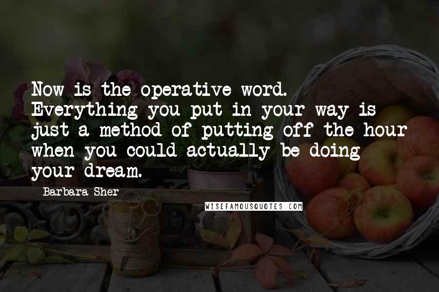 Barbara Sher Quotes: Now is the operative word. Everything you put in your way is just a method of putting off the hour when you could actually be doing your dream.