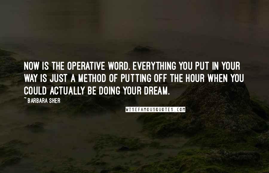 Barbara Sher Quotes: Now is the operative word. Everything you put in your way is just a method of putting off the hour when you could actually be doing your dream.