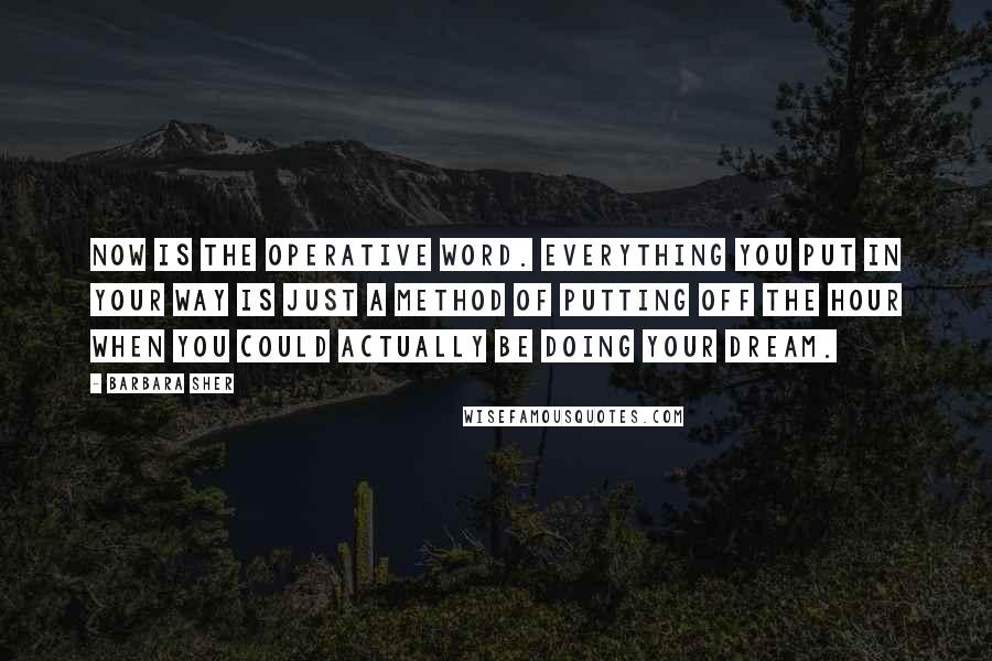 Barbara Sher Quotes: Now is the operative word. Everything you put in your way is just a method of putting off the hour when you could actually be doing your dream.