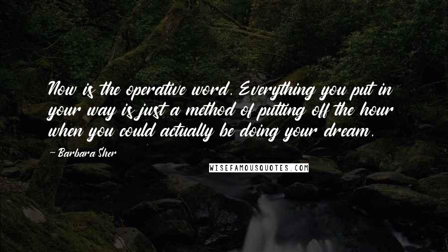 Barbara Sher Quotes: Now is the operative word. Everything you put in your way is just a method of putting off the hour when you could actually be doing your dream.