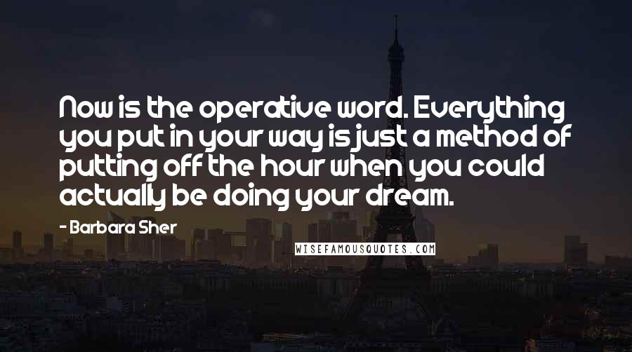 Barbara Sher Quotes: Now is the operative word. Everything you put in your way is just a method of putting off the hour when you could actually be doing your dream.