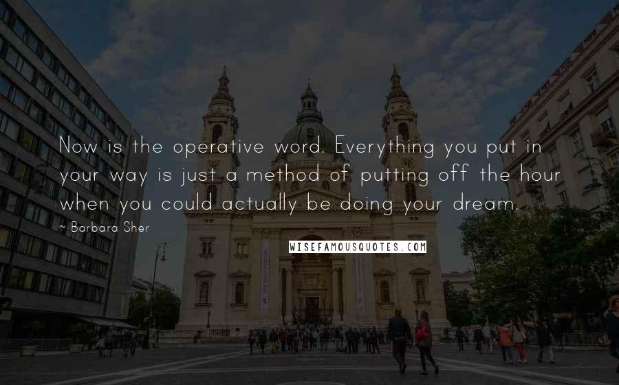 Barbara Sher Quotes: Now is the operative word. Everything you put in your way is just a method of putting off the hour when you could actually be doing your dream.