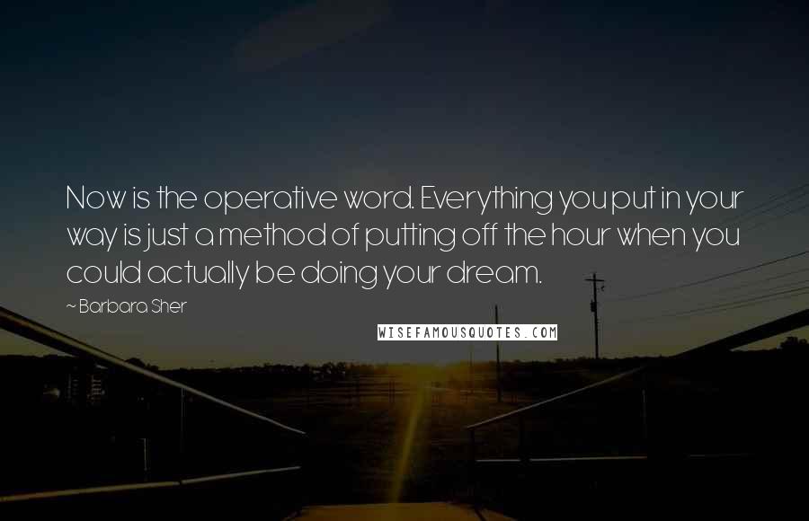 Barbara Sher Quotes: Now is the operative word. Everything you put in your way is just a method of putting off the hour when you could actually be doing your dream.