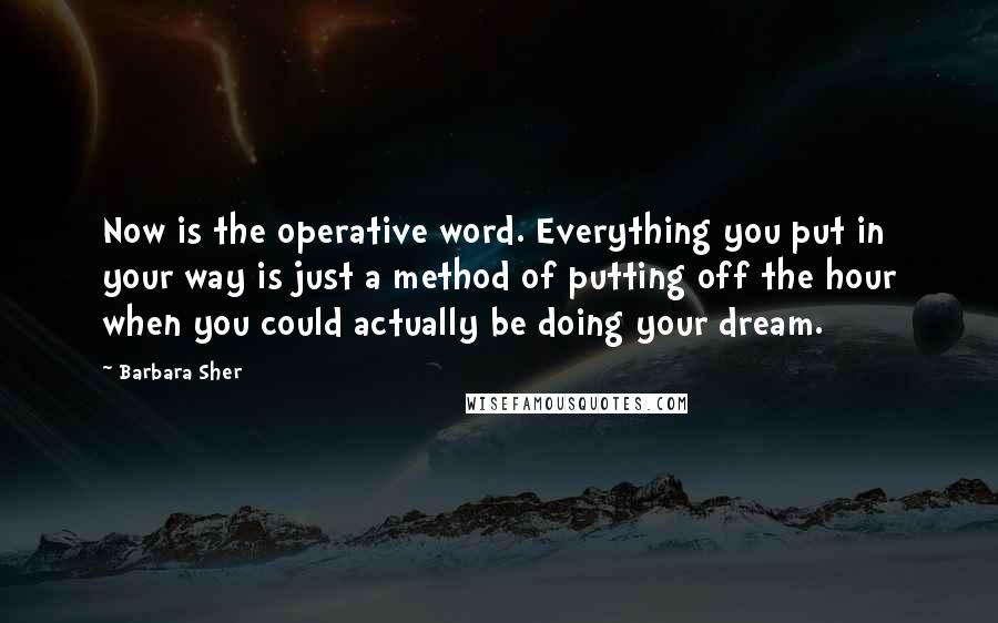 Barbara Sher Quotes: Now is the operative word. Everything you put in your way is just a method of putting off the hour when you could actually be doing your dream.