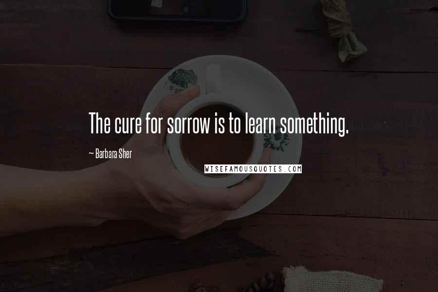 Barbara Sher Quotes: The cure for sorrow is to learn something.