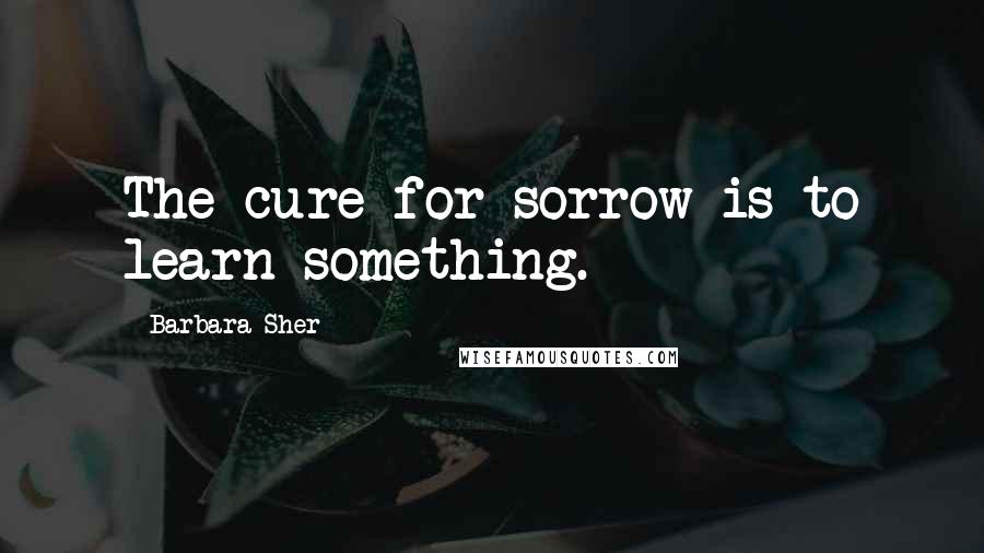 Barbara Sher Quotes: The cure for sorrow is to learn something.