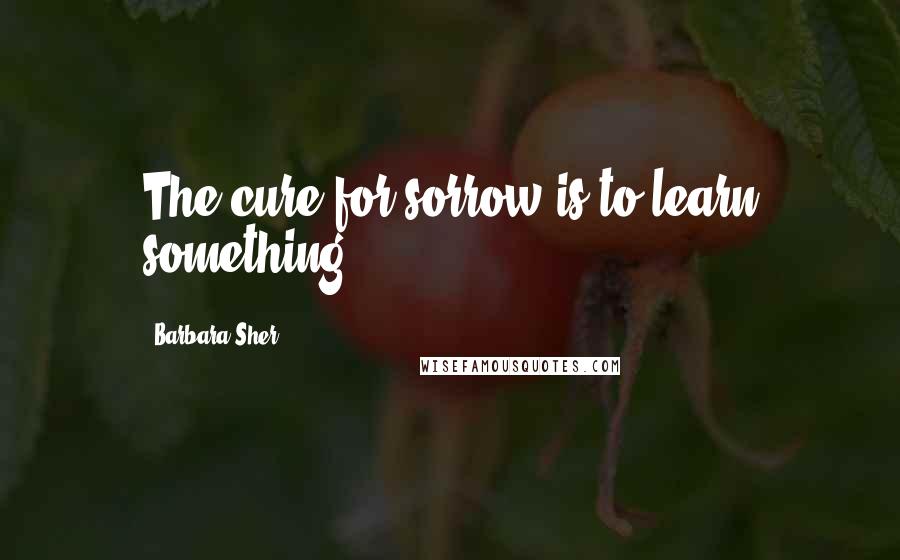 Barbara Sher Quotes: The cure for sorrow is to learn something.
