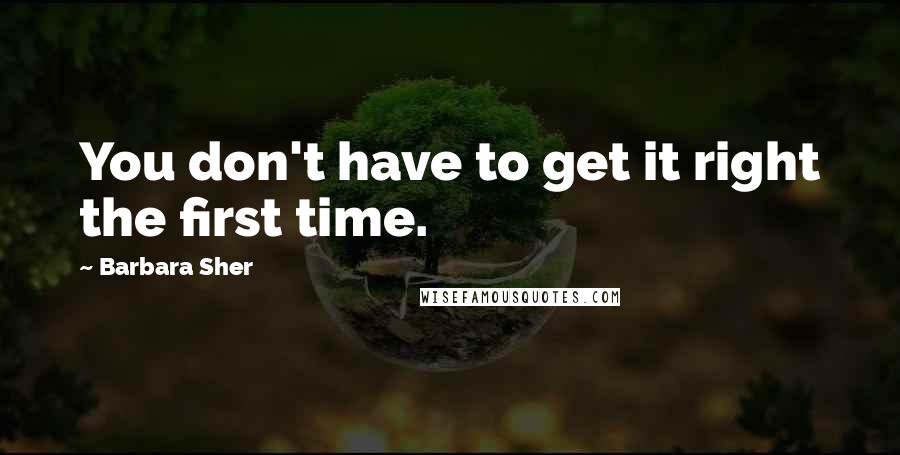 Barbara Sher Quotes: You don't have to get it right the first time.